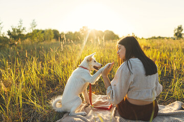 Stylish woman training her white dog on blanket in warm sunny light in summer meadow. Picnic