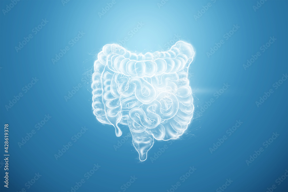 Intestines hologram on a blue background. Constipation concept, bowel ...