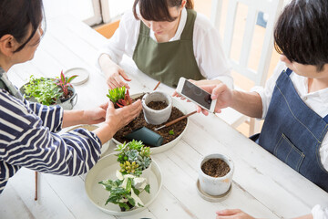 Poster - 多肉植物の栽培を楽しむ若い日本人夫婦、ガーデニング、趣味