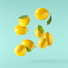 Wall Mural - creative image with fresh lemons falling in the air, zero gravity food conception