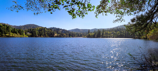 Scenic view through the trees of the still blue waters of Lake Gregory