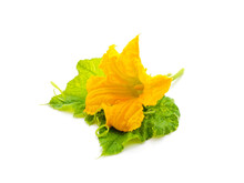 Beautiful Yellow Pumpkin Flower With Green Leaves.