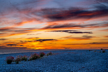 Wall Mural - Summer sunset over limestone coastal landscape