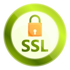 Poster - Payment ssl certificate icon. Cartoon of Payment ssl certificate vector icon for web design isolated on white background