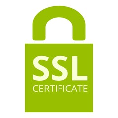 Poster - Solution ssl certificate icon. Cartoon of Solution ssl certificate vector icon for web design isolated on white background