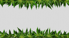 Frame Of Hemp Leaves Around Horizontal Empty Space. Layout Of A Frame Made Of Cannabis Leafs For Your Creativity