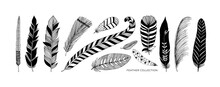 Rustic Decorative Feathers Vector Collection. Hand Drawn Black Tribal Bird Feathers. Ink Illustration Isolated On White Background. Ethnic Boho Style Hand Drawing. Outlined Graphic Ornament.