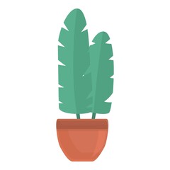 Poster - Tropical plant pot icon. Cartoon of Tropical plant pot vector icon for web design isolated on white background