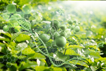 Wall Mural - biology nature and science. plants with biochemistry structure on green background. dna and molecule