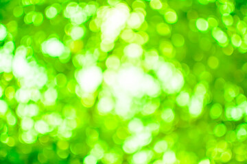 Beautiful bokeh.