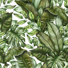  Seamless tropical pattern. Exotic background with palm leaves, monstera, colocasia, banana leaves. Vintage watercolor illustration. Suitable for fabric design, wrapping paper, wallpaper