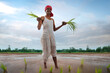 © IndiaPix - Indian farmer planting in rice paddy
