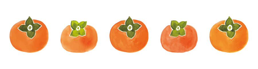  柿の水彩イラスト