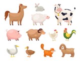 Fototapeta  - Farm animals. Funny cartoon domestic birds, rural life, cute comic characters, horse and geese, chicken and duck, cow and sheep, goat and rabbit, maintenance livestock vector isolated set