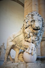 Wall Mural - Florence, Tuscany, Italy: ancient statue of a lion in Piazza della Signoria, sculpture that depicts a lion with a sphere under one paw