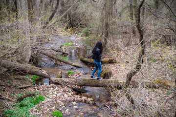 young man hikes over fallen tree foot bridge over woodland stream