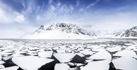 Wall Mural - Mountains, fjords and pack ice panorama, Svalbard