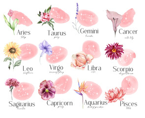 watercolor floral zodiac clipart, constellation clipart, celestial clipart with hand drawn flowers b