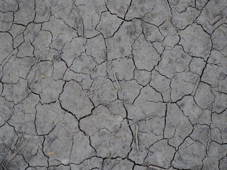 Canvas Print - Closeup of dry cracked ground texture