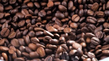 Wall Mural - Roasted coffee beans on old background