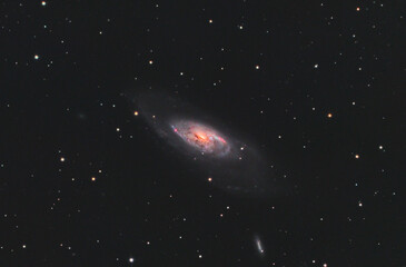 Wall Mural - close up of messier 106 galaxy in canes venatici constellation, taken with my telescope.