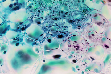 Aufkleber - Close up Beautiful abstract soap bubbles. Background pattern for design. Macro photography view.