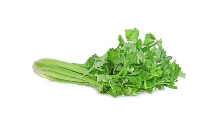 Poster - celery fresh isolated on white background