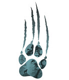 Fototapeta Las - silhouette of a wolf paw with scratches. Inside a forest landscape with a howling wolf. White background isolated object 