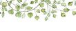 Seamless banner with green leaves. Watercolor hand painted botany