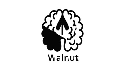Poster - Walnut icon animation outline best object on white background