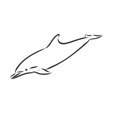 Simple Dolphin Silhouette. Dolphin, Vector Sketch On A White Background