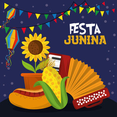 Poster - festa junina event