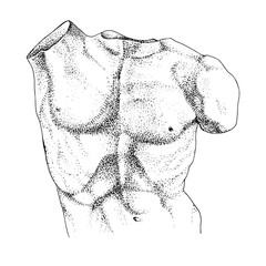 Laocoon torso, hand drawn illustration