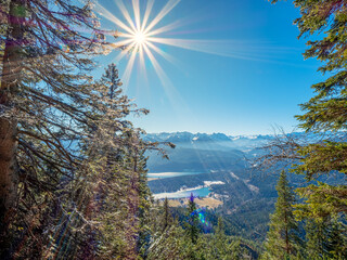 Spot through the Forest trees towards the Karvendel mountain chain