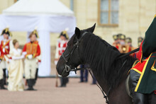 Staging A Historical Scene With The Royal Family And Horse Guards On The Parade Ground In Front Of The Royal Palace. The Rider And People Dressed In Royal Clothes: Ladies And Gentlemen