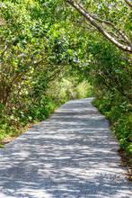 A Shaded Pathway In A County Park
