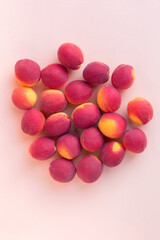 Wall Mural - Fresh apricot fruits on a pink background