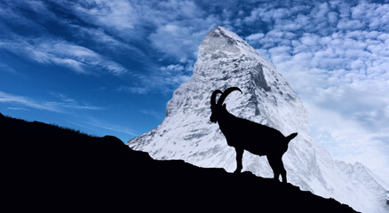 snowy mountain landscape with ibex in silhouette on the rock