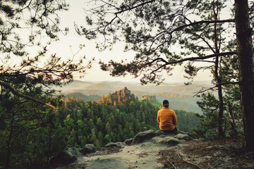 person sitting on a tree in the forest