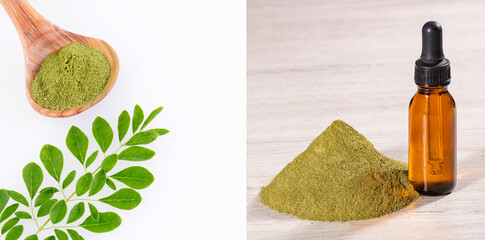 Sticker - Moringa oleifera medicinal plant with high content of vitamins and minerals