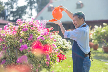 Sticker - senior man watering the garden