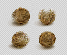 Tumbleweed, Dry Weed Ball Isolated On Transparent Background. Vector Realistic Set Of Western Desert Dead Plants, Rolling Dry Bushes, Old Tumble Grass In Prairie