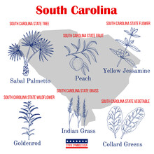 South Carolina. Set Of USA Official State Symbols