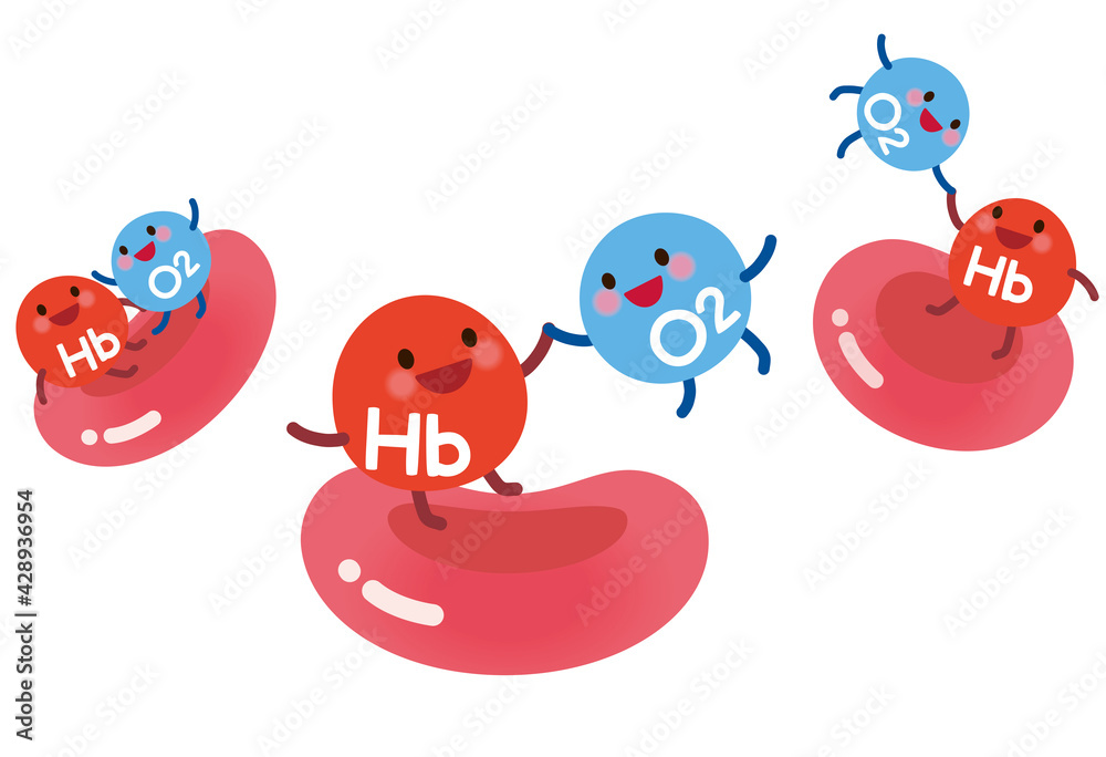 ヘモグロビンと結合する酸素　血液