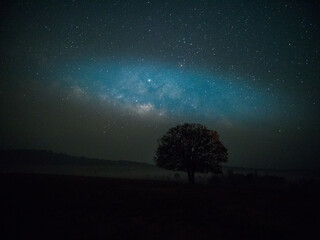 Starry sky with blue Milky Way. Night landscape with alone tree on the mountain peak against colorful milky way. Amazing galaxy. Nature background with beautiful universe. Astrophotography