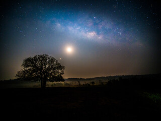 Starry sky with blue Milky Way. Night landscape with alone tree on the mountain peak against colorful milky way. Amazing galaxy. Nature background with beautiful universe. Astrophotography