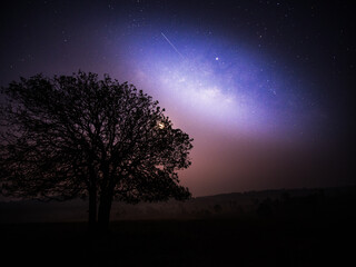 Starry sky with blue Milky Way. Night landscape with alone tree on the mountain peak against colorful milky way. Amazing galaxy. Nature background with beautiful universe. Astrophotography