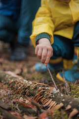 Mom and child walking in the forest after the rain in raincoats together, looking at mushrooms on a fallen tree and talking