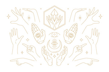 Wall Mural - female hands gestures collection of line art hand drawn style vector illustrations