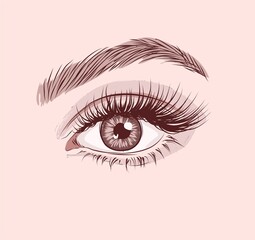 Sexy luxurious eye with perfectly shaped eyebrows and full lashes. Idea for business visit card, typography vector. Perfect salon look.